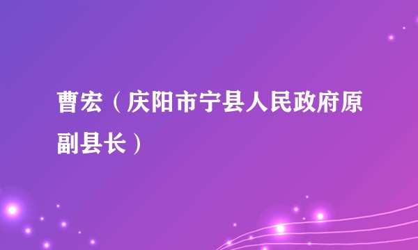 曹宏（庆阳市宁县人民政府原副县长）