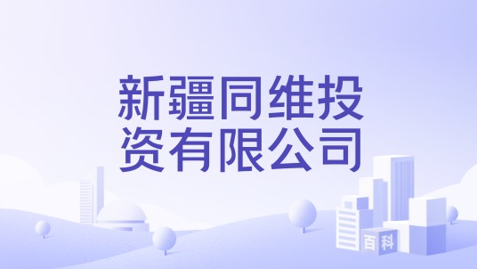 新疆同维投资有限公司