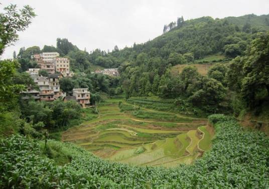 长洲镇（广西壮族自治区河池市凤山县下辖镇）