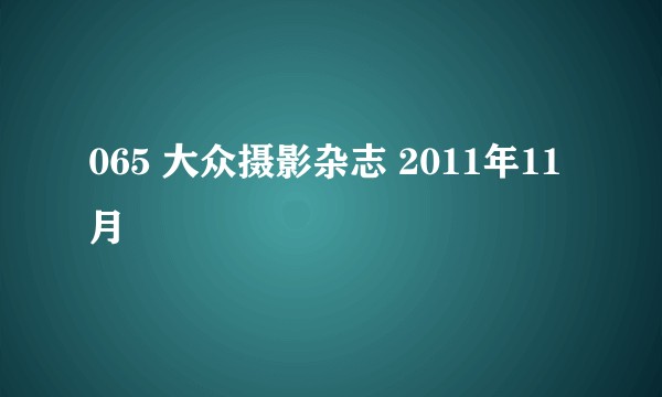 065 大众摄影杂志 2011年11月