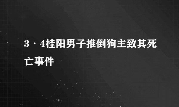 3·4桂阳男子推倒狗主致其死亡事件