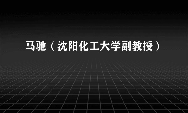 马驰（沈阳化工大学副教授）