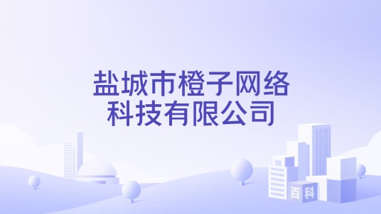 盐城市橙子网络科技有限公司