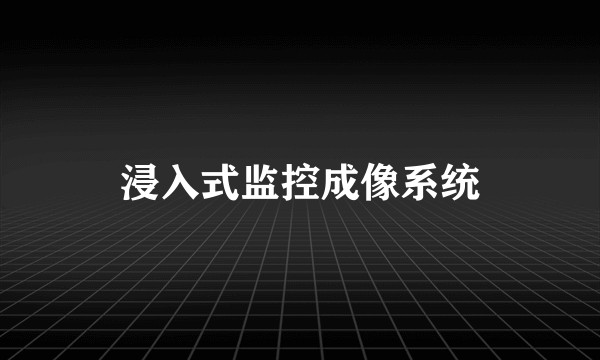 浸入式监控成像系统