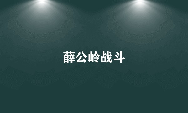 薛公岭战斗