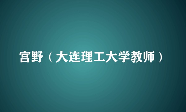 宫野(大连理工大学教师)