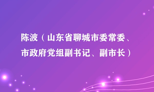 陈波(山东省聊城市委常委、市政府党组副书记、副市长)