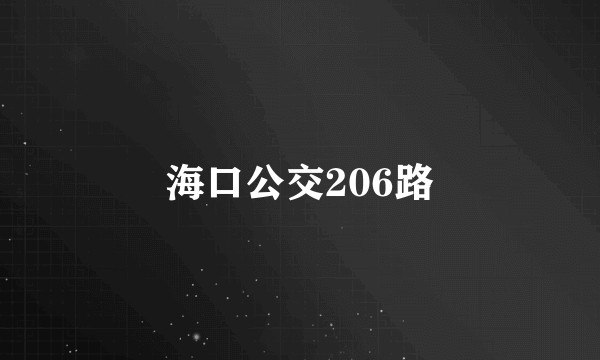 海口公交206路