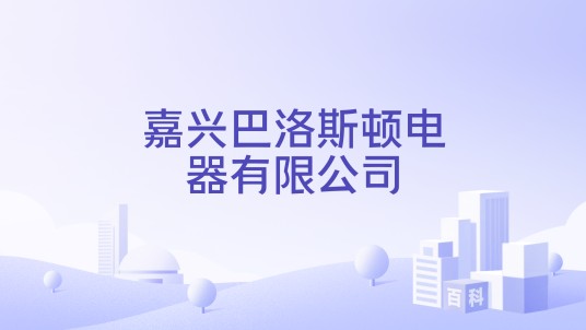 嘉兴巴洛斯顿电器有限公司