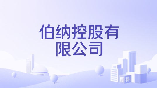 伯纳控股有限公司