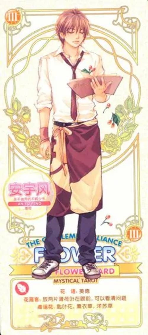 安宇风（小说《壁花小姐奇遇记》及衍生作品中的角色）