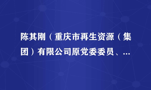 陈其刚（重庆市再生资源（集团）有限公司原党委委员、纪委书记、监事会主席）