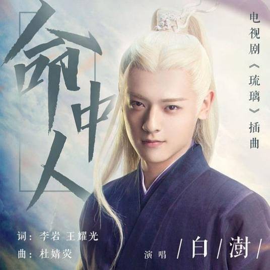 命中人（白澍演唱的歌曲）