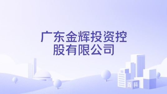 广东金辉投资控股有限公司