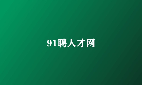 91聘人才网