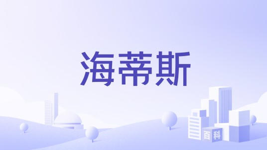 海蒂斯（广州网中王企业管理咨询有限公司旗下一个时尚女包品牌）