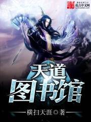 天道图书馆（横扫天涯创作的玄幻类小说）