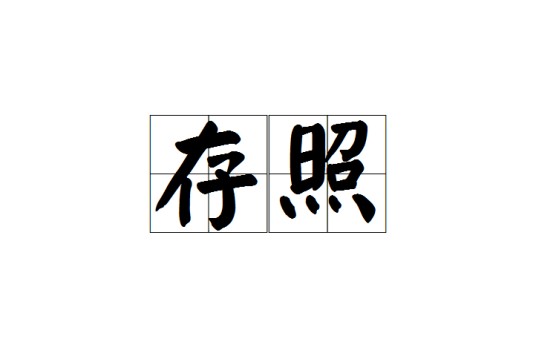 存照