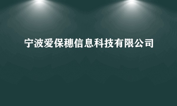 宁波爱保穗信息科技有限公司