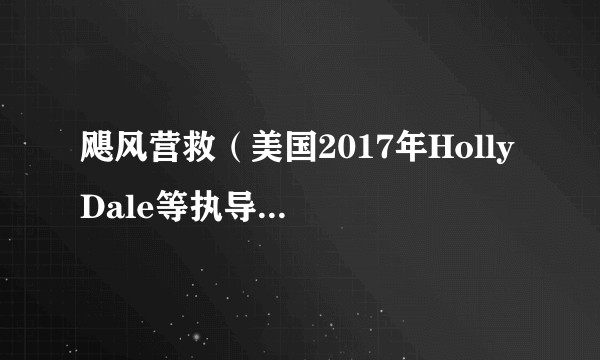 飓风营救（美国2017年Holly Dale等执导的动作剧）