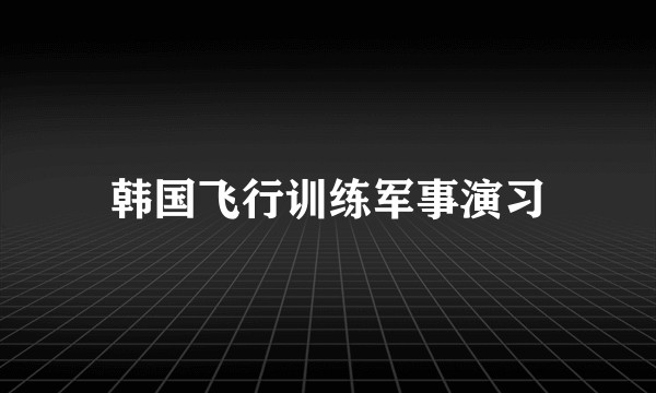 韩国飞行训练军事演习