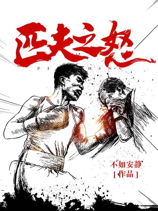 匹夫之怒（不如安静创作的网络小说）