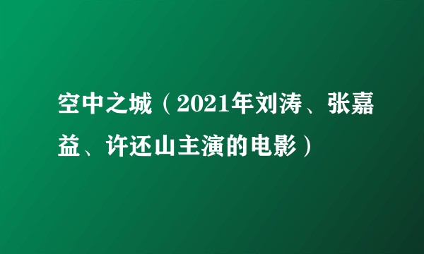 空中之城（2021年刘涛、张嘉益、许还山主演的电影）
