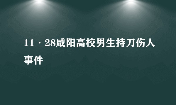 11·28咸阳高校男生持刀伤人事件