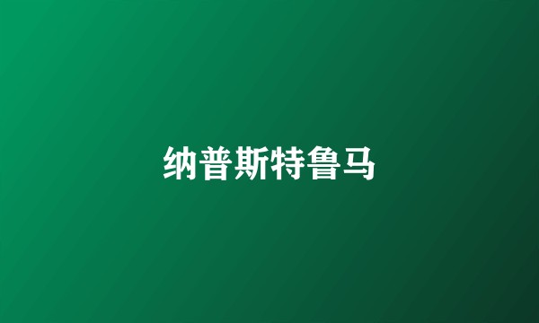 纳普斯特鲁马