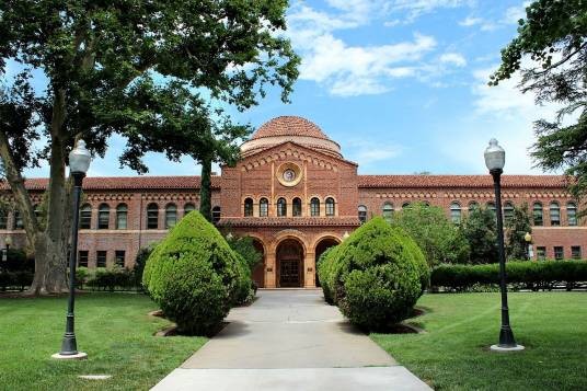 加州州立大学奇科分校