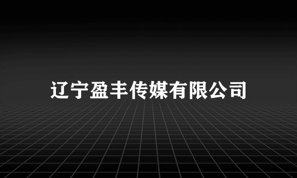 辽宁盈丰传媒有限公司