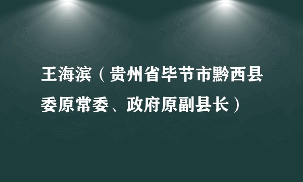 王海滨(贵州省毕节市黔西县委原常委、政府原副县长)