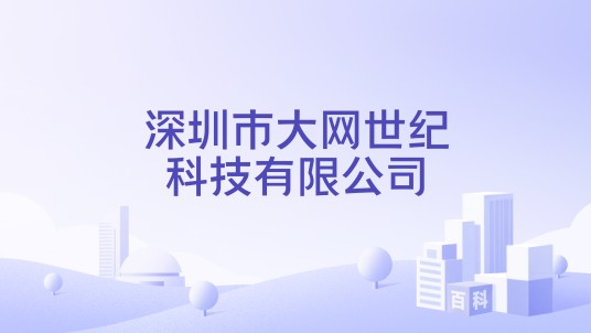 深圳市大网世纪科技有限公司