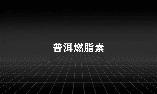 普洱燃脂素