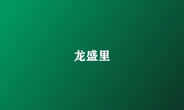 龙盛里