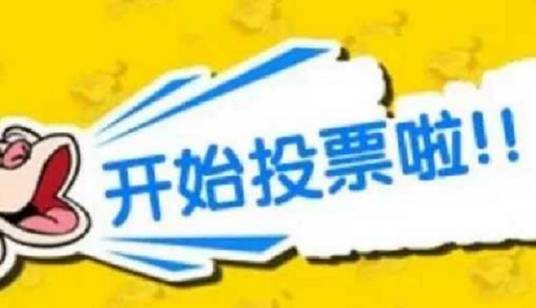 网络投票