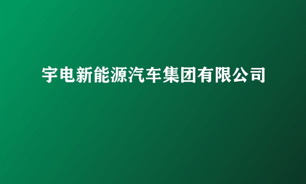 宇电新能源汽车集团有限公司