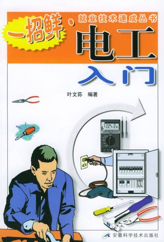电工入门(2005年安徽科学技术出版社出版的图书)