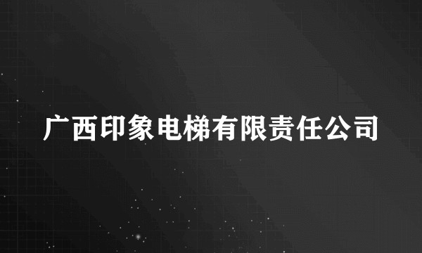 广西印象电梯有限责任公司