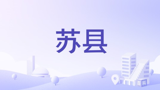 苏县（美国艾奥瓦州苏县）