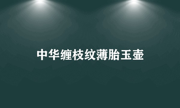 中华缠枝纹薄胎玉壶