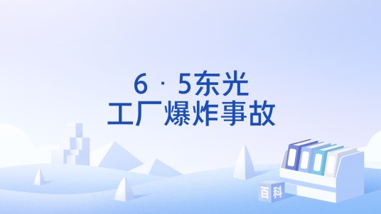 6·5东光工厂爆炸事故