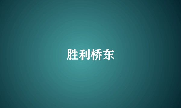 胜利桥东
