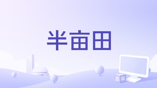 半亩田