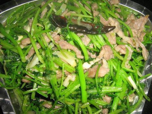 香菜炒肉丝