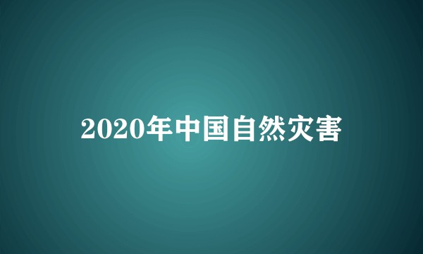 2020年中国自然灾害
