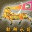 北京麒麟水箱有限公司