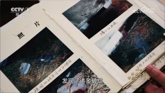 2006年乐山强奸杀人案
