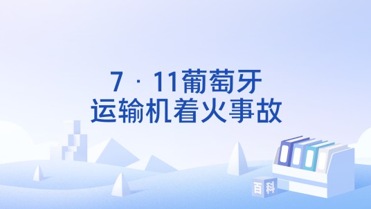 7·11葡萄牙运输机着火事故