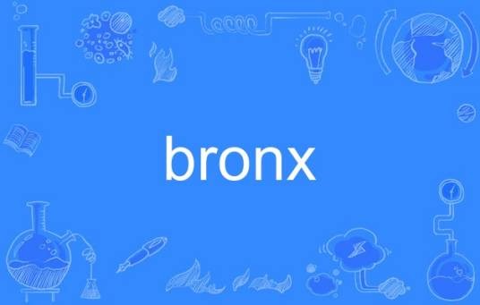 bronx（英语单词）